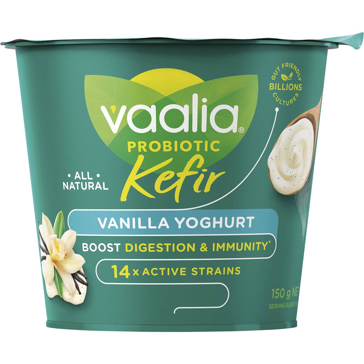 Vaalia Probiotic Kefir Vanilla Yoghurt G Woolworths