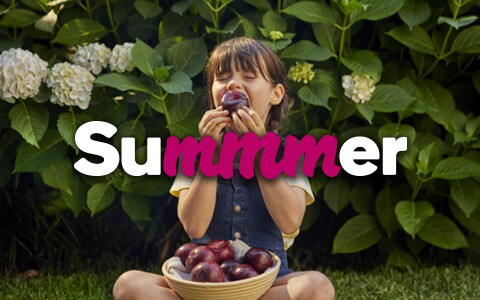 Discover - Woolworths Online