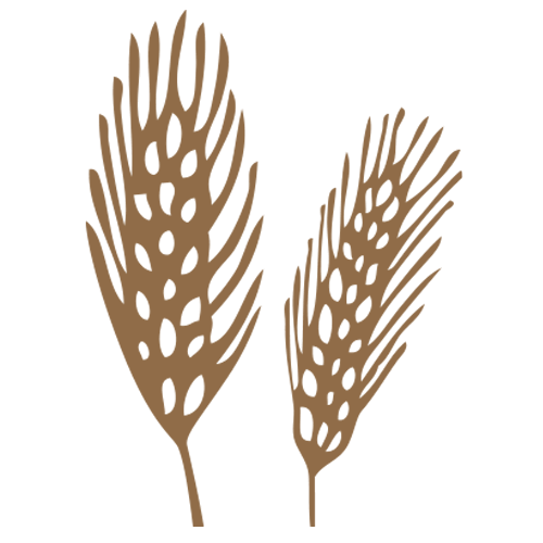 La Molisana Pasta | Discover Woolworths Own Brands