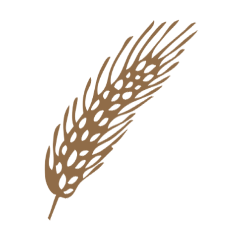 La Molisana Pasta | Discover Woolworths Own Brands