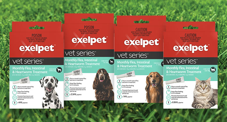 exelpet vet series monthly flea intestinal and heartworm treatment