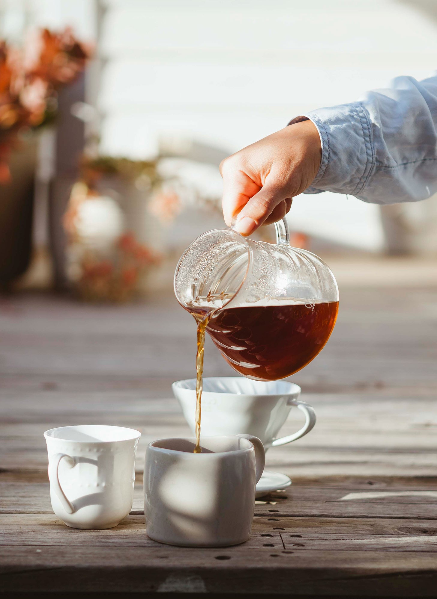 Campos Coffee | Woolworths