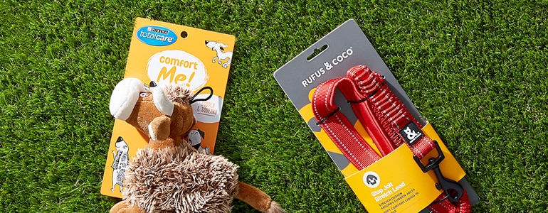 pet toys