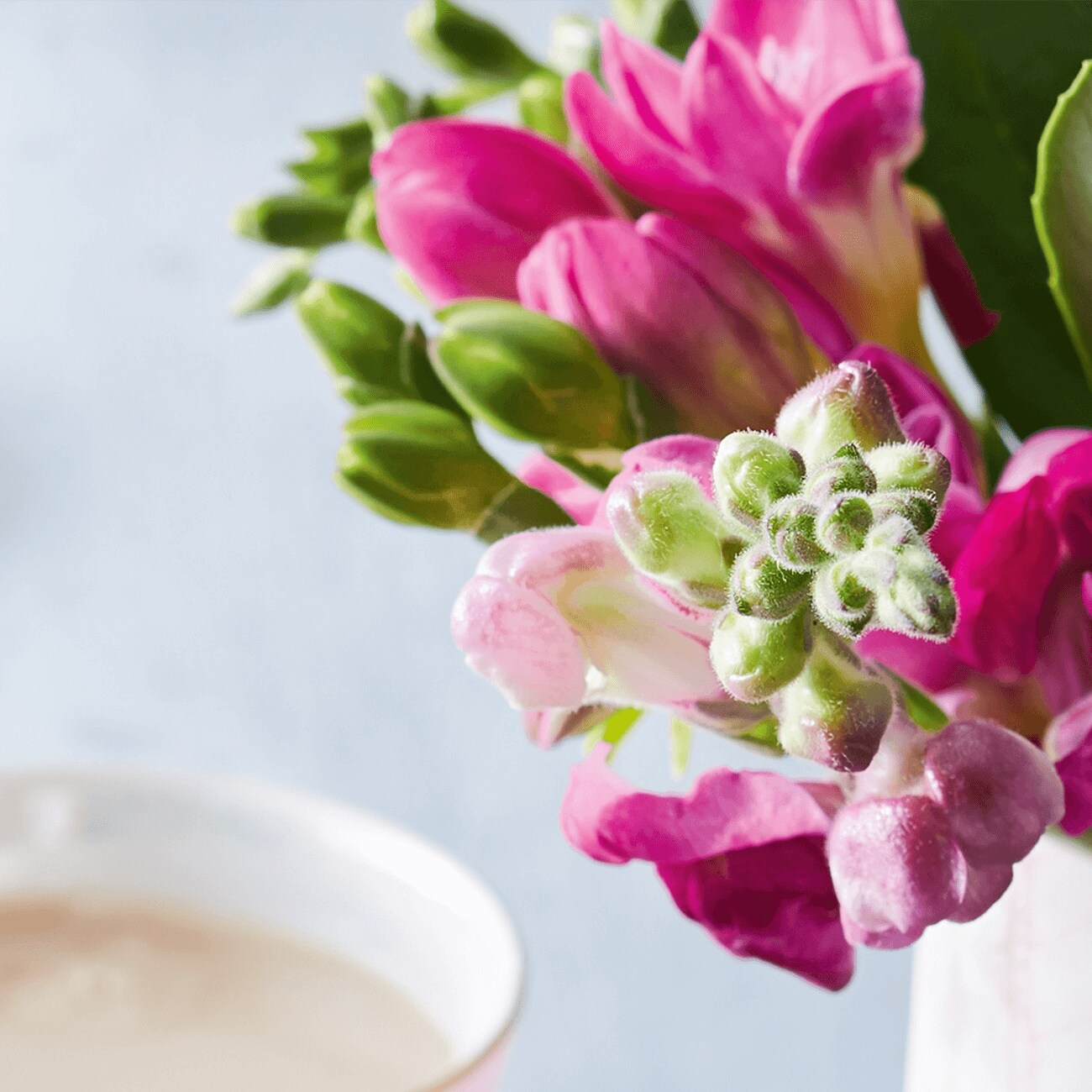 woolworths mother's day gifts