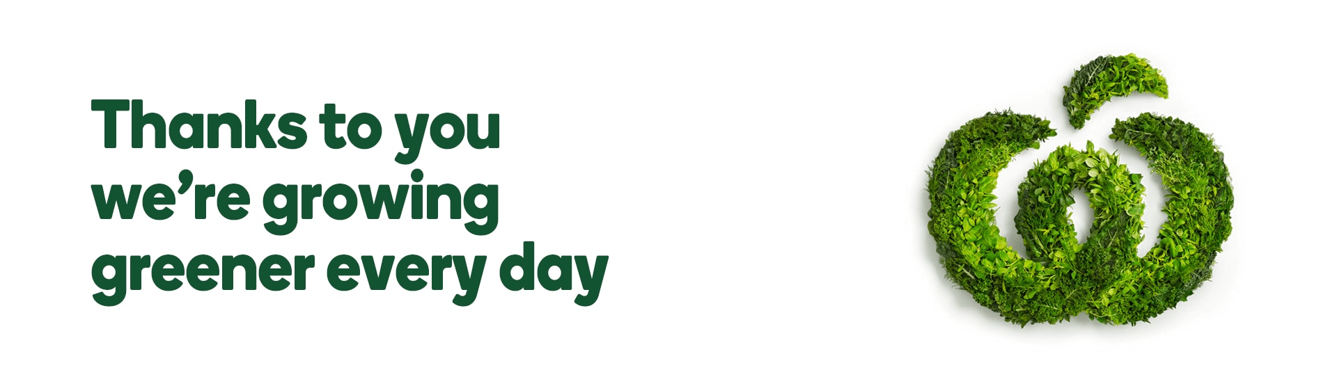 Sustainability At Woolworths