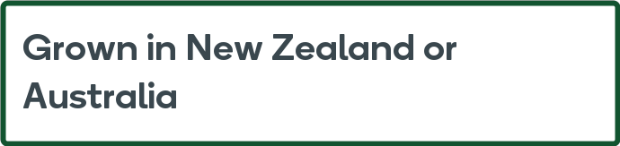 New Zealand