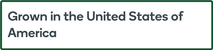 the United States of America