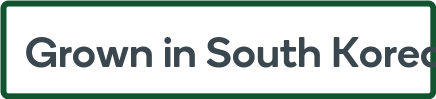 South Korea