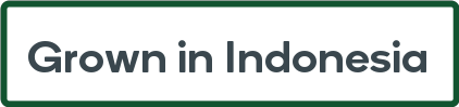 Indonesia