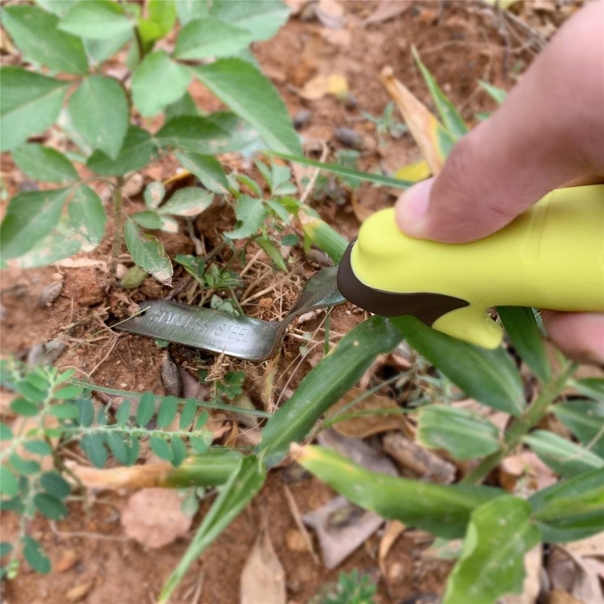 Green Gardener Garden Weeder Each Woolworths