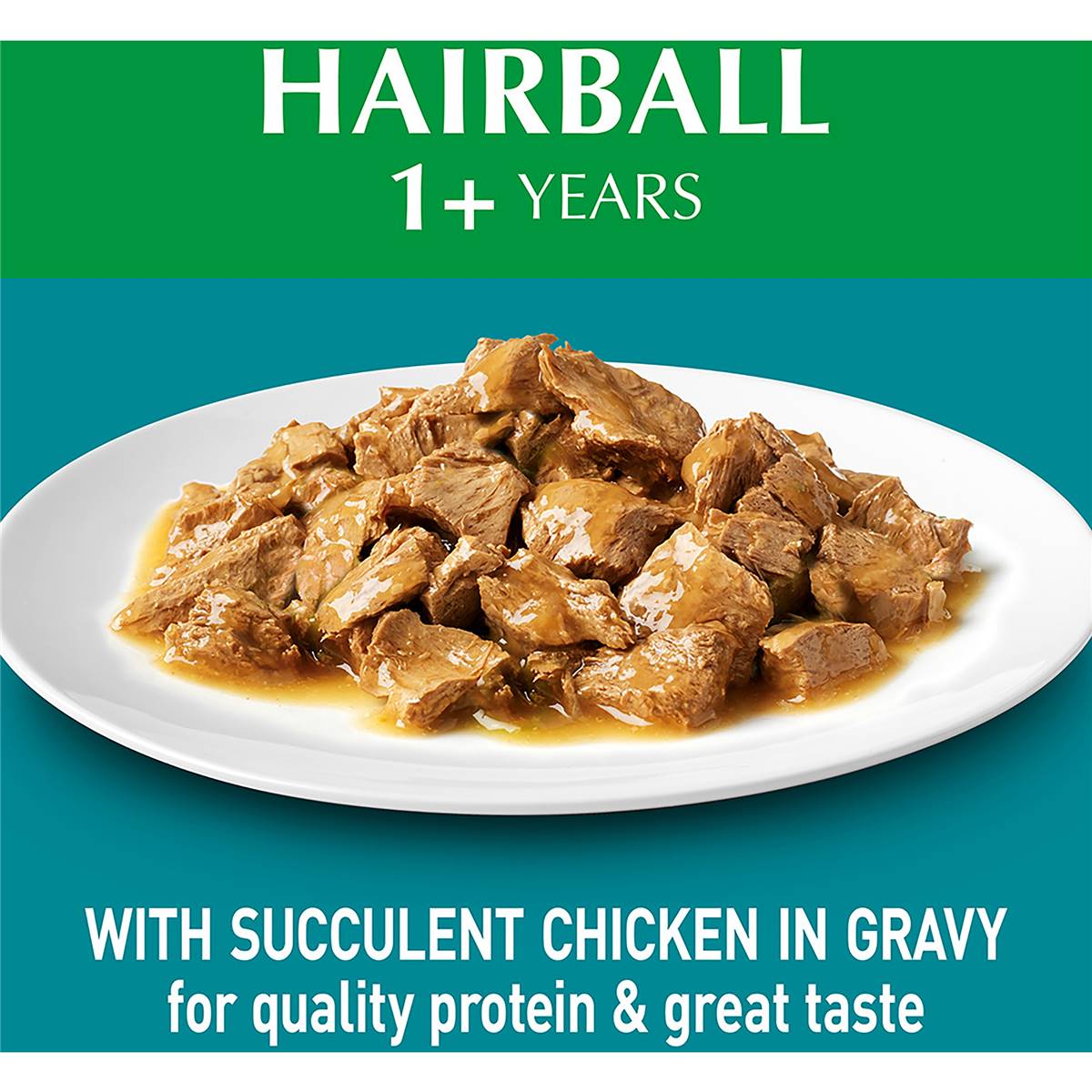 Purina One Adult Hairball With Chicken In Gravy Wet Cat Food 70g ...