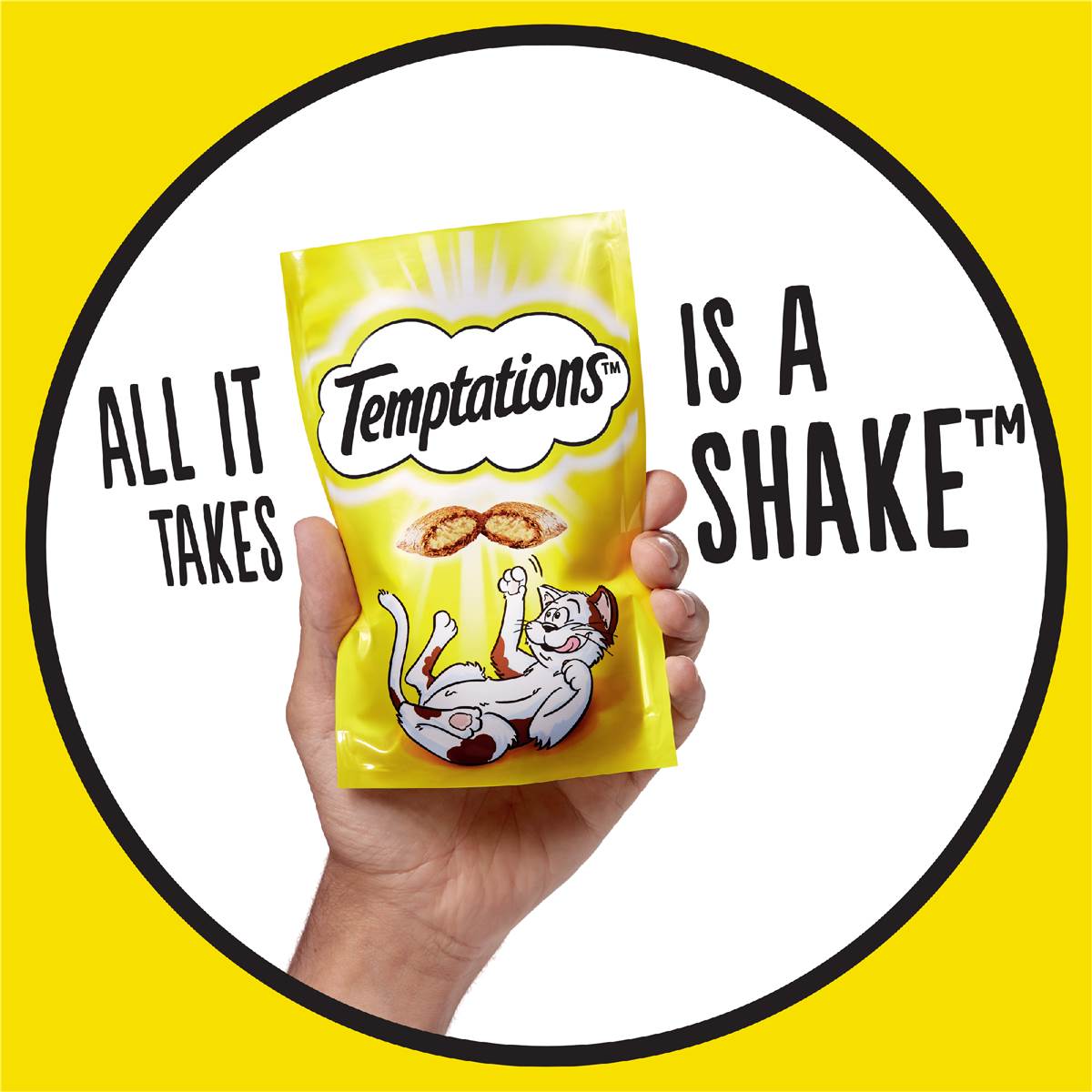 Temptations Cat Treats Tasty Chicken 85g Woolworths