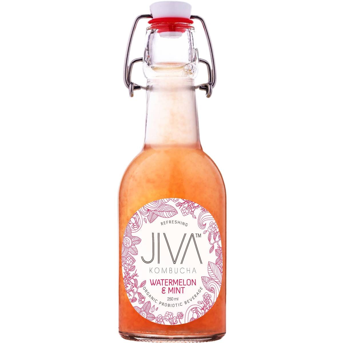 Jiva Kombucha Watermelon Mint 250ml Woolworths