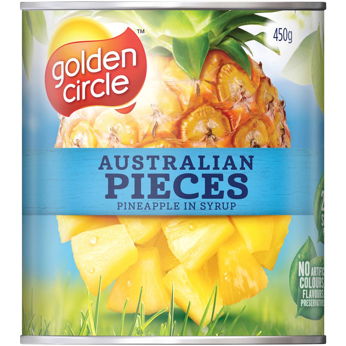 Golden Circle Pineapple Pieces In Syrup 450g Woolworths