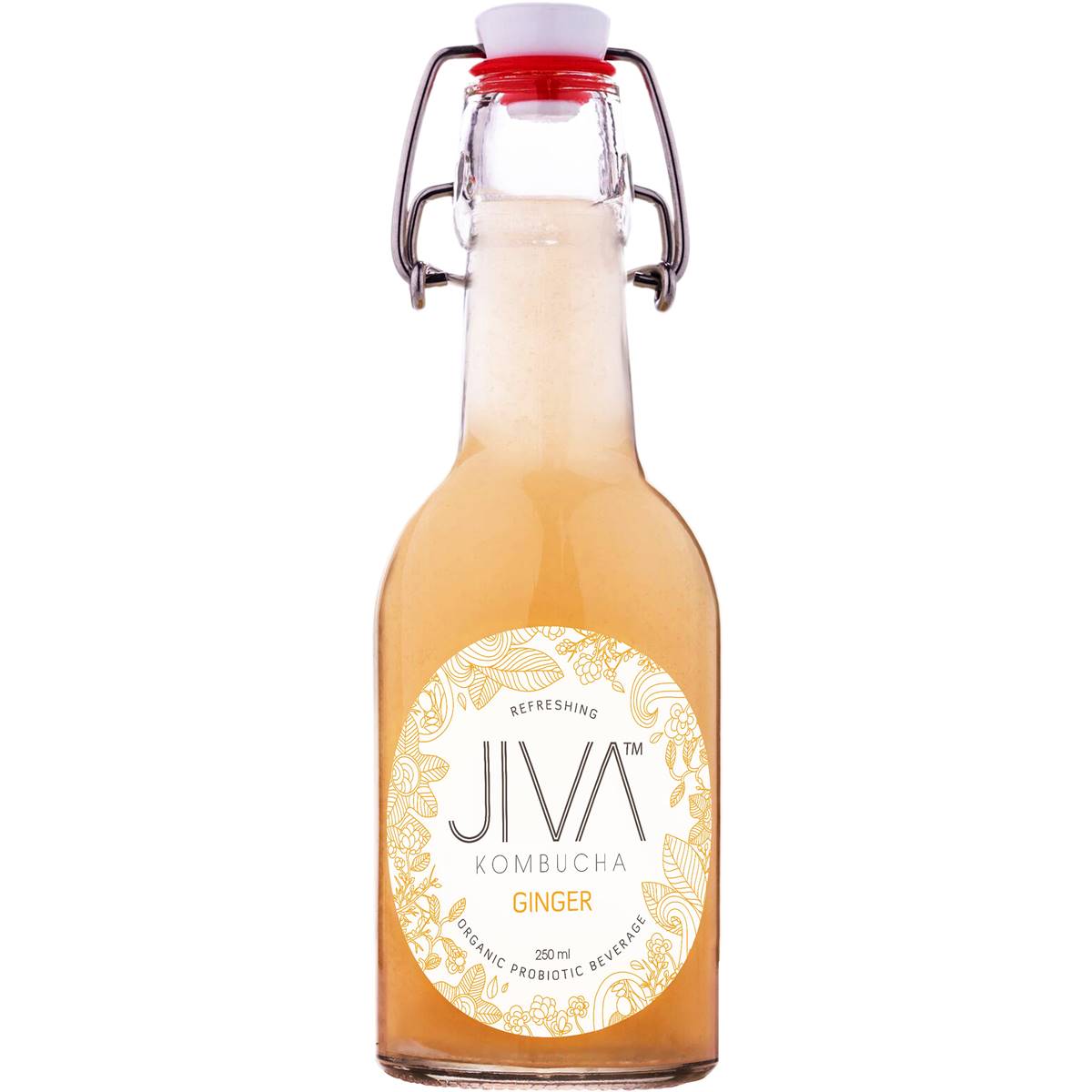 Jiva Kombucha Ginger Organic Probiotic Beverage 250ml | Woolworths