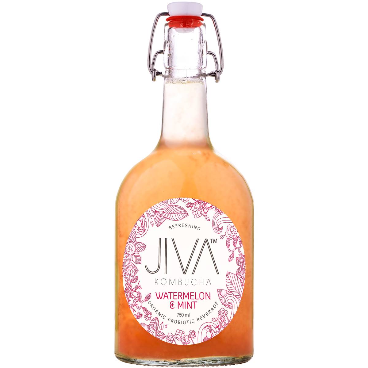 Jiva Kombucha Watermelon & Mint 