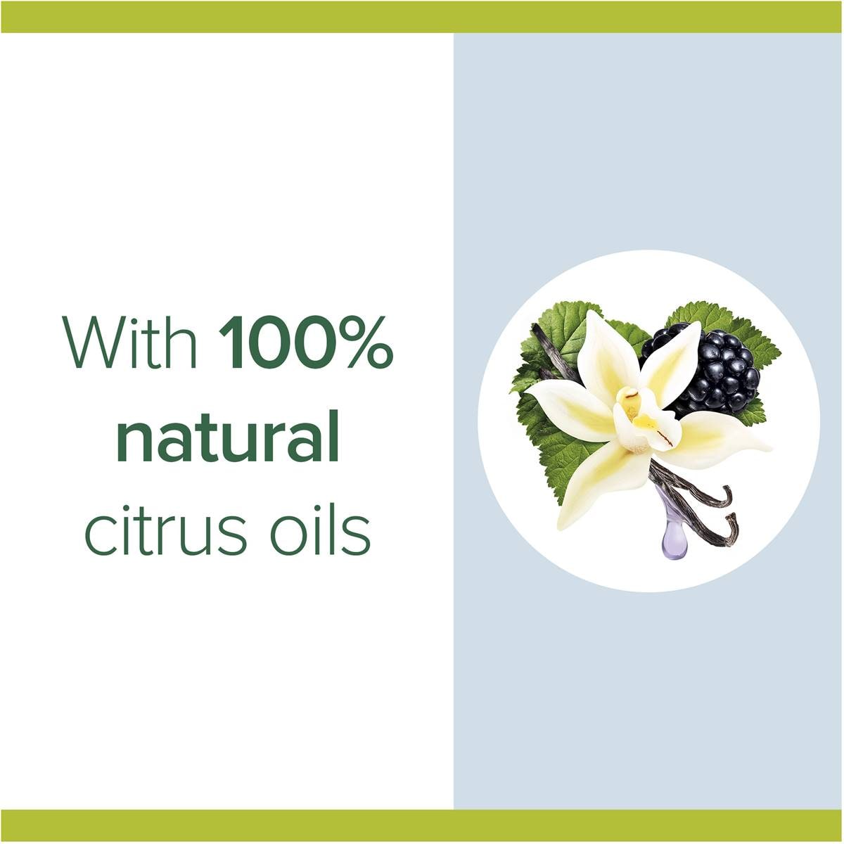 Palmolive Foaming Liquid Hand Wash Pump Vanilla & Berry 250ml Woolworths