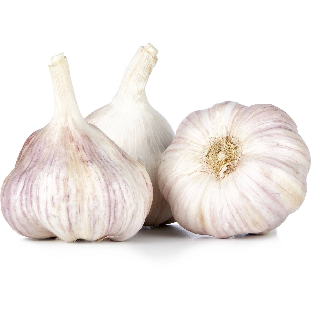 Fresh Garlic
