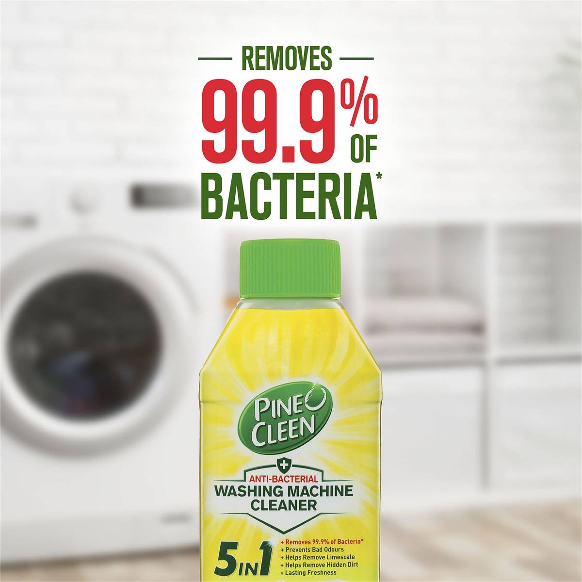 Pine O Cleen Washing Machine Cleaner Lemon Lime 250ml Woolworths