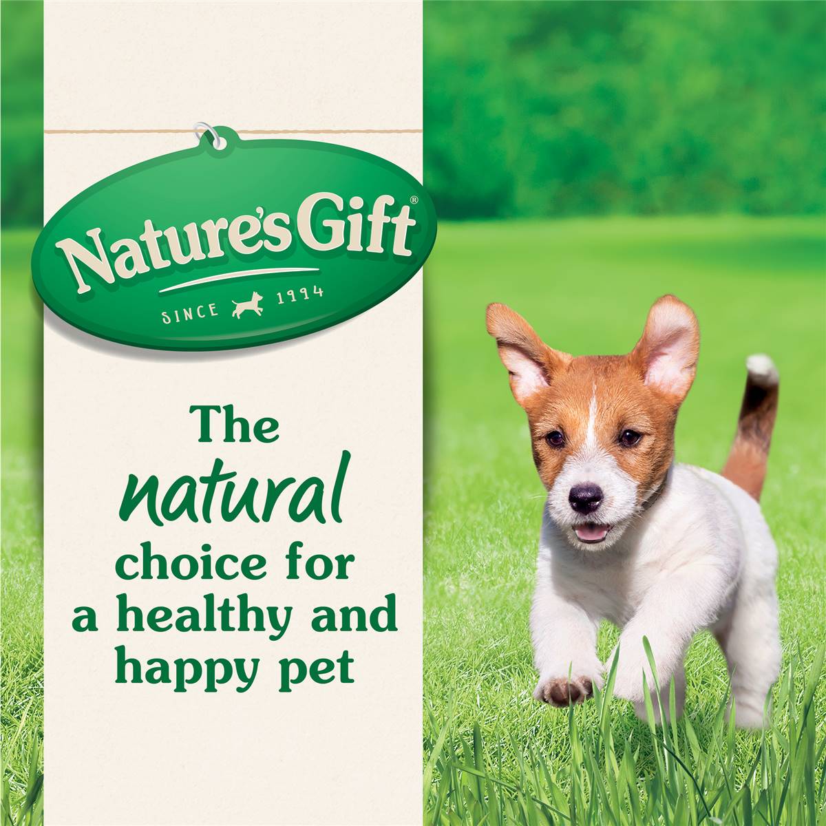 nature-s-gift-puppy-dry-dog-food-with-chicken-2-25kg-woolworths