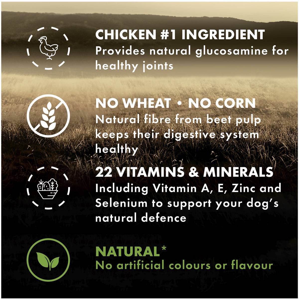 Supercoat Adult True Origin Grain Free Chicken Dry Dog Food 7kg