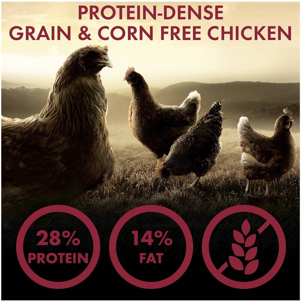 Supercoat Adult True Origin Grain Free Chicken Dry Dog Food 7kg