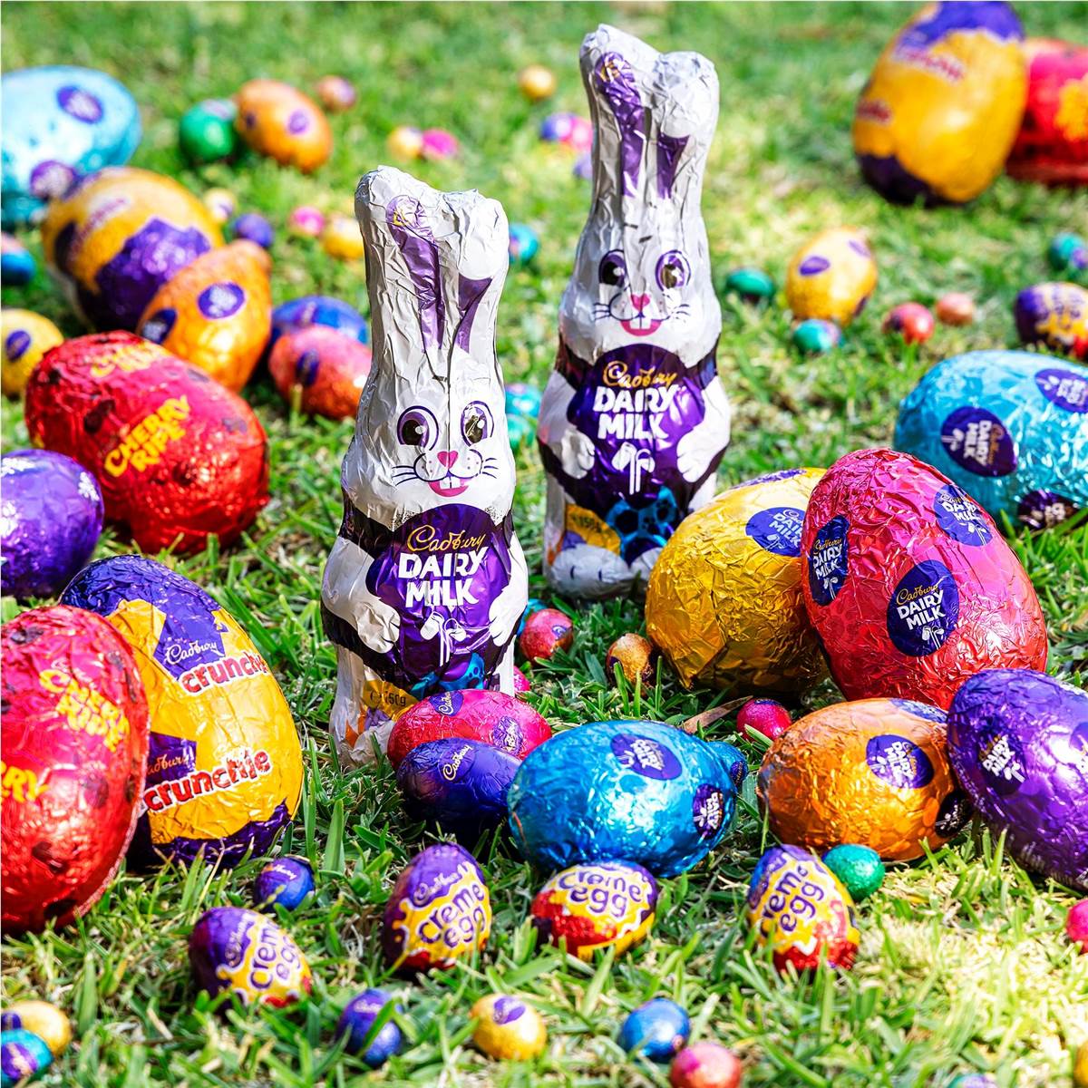 Cadbury Dairy Milk Hollow Chocolate Easter Egg 100g Woolworths