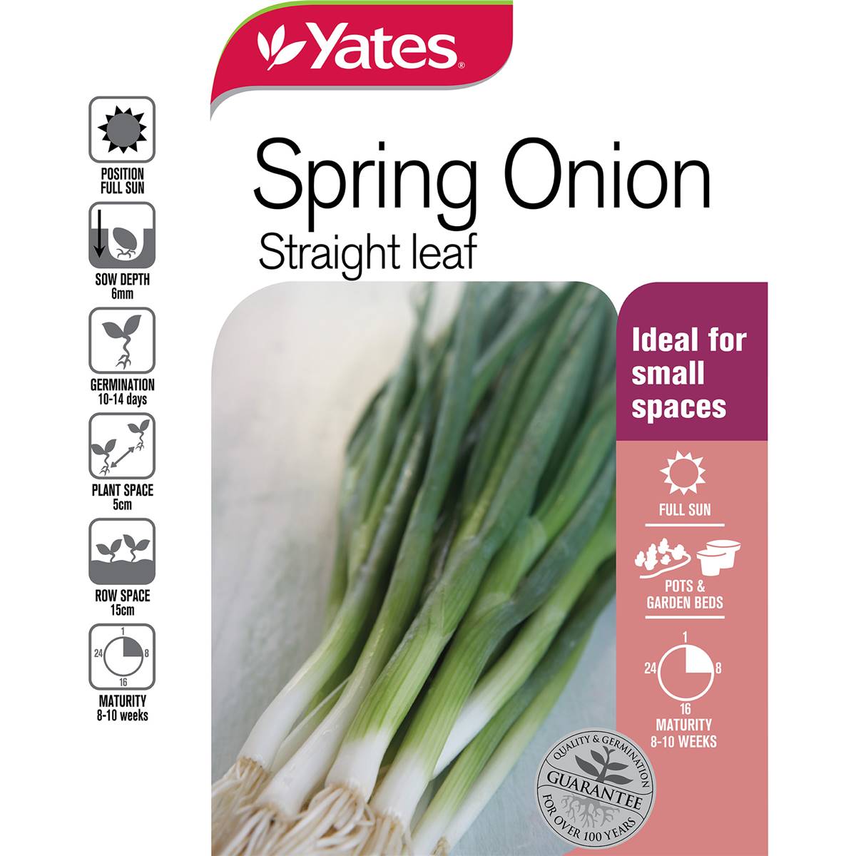 Yates Spring Onions Seeds 0.4 G Woolworths