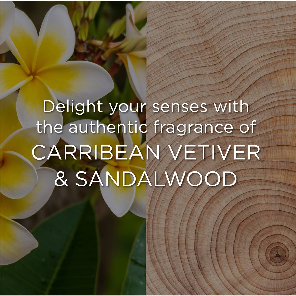 Botanica Caribbean Vetiver & Sandalwood Candle 205g Woolworths