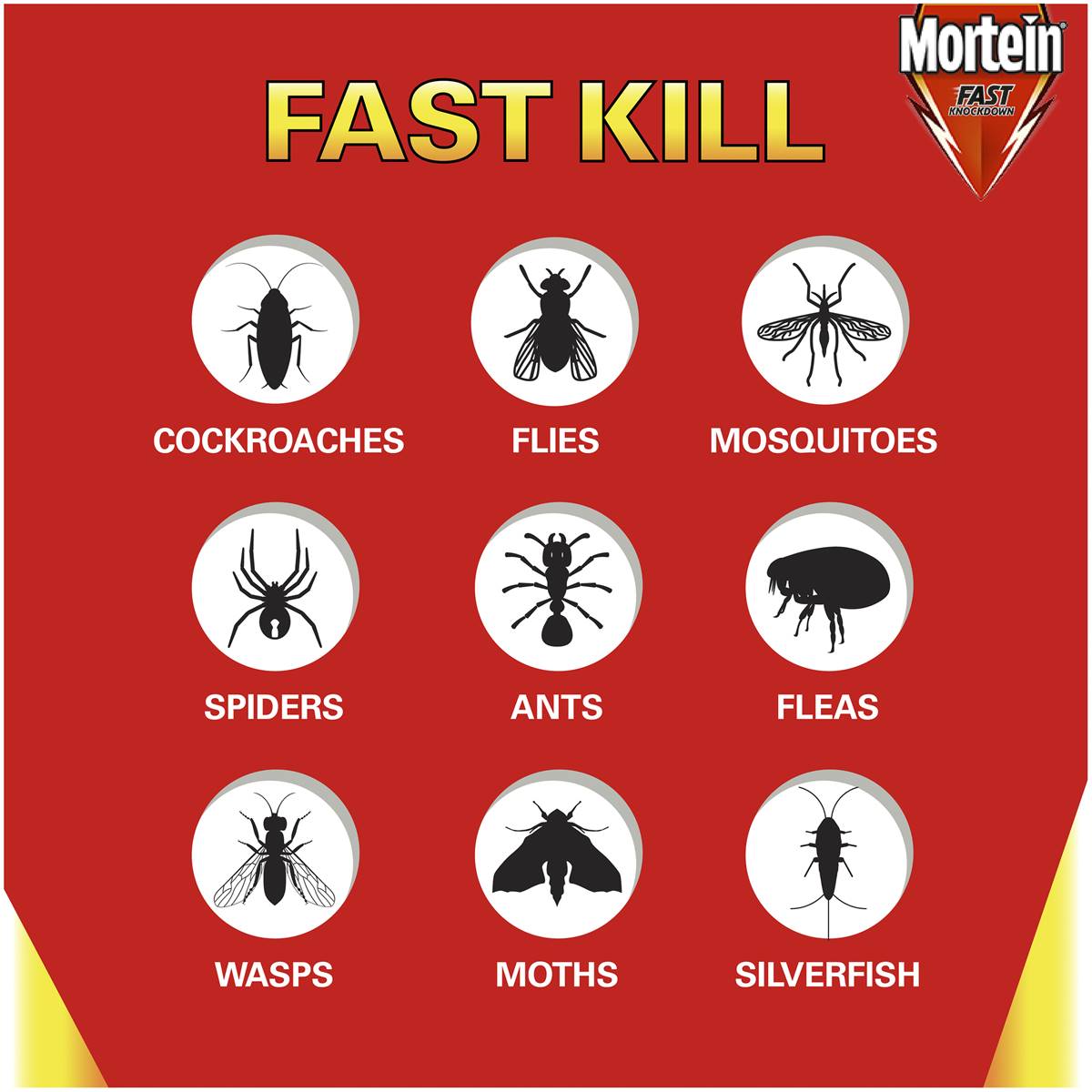 mortein-insect-spray-multi-insect-killer-300g-woolworths