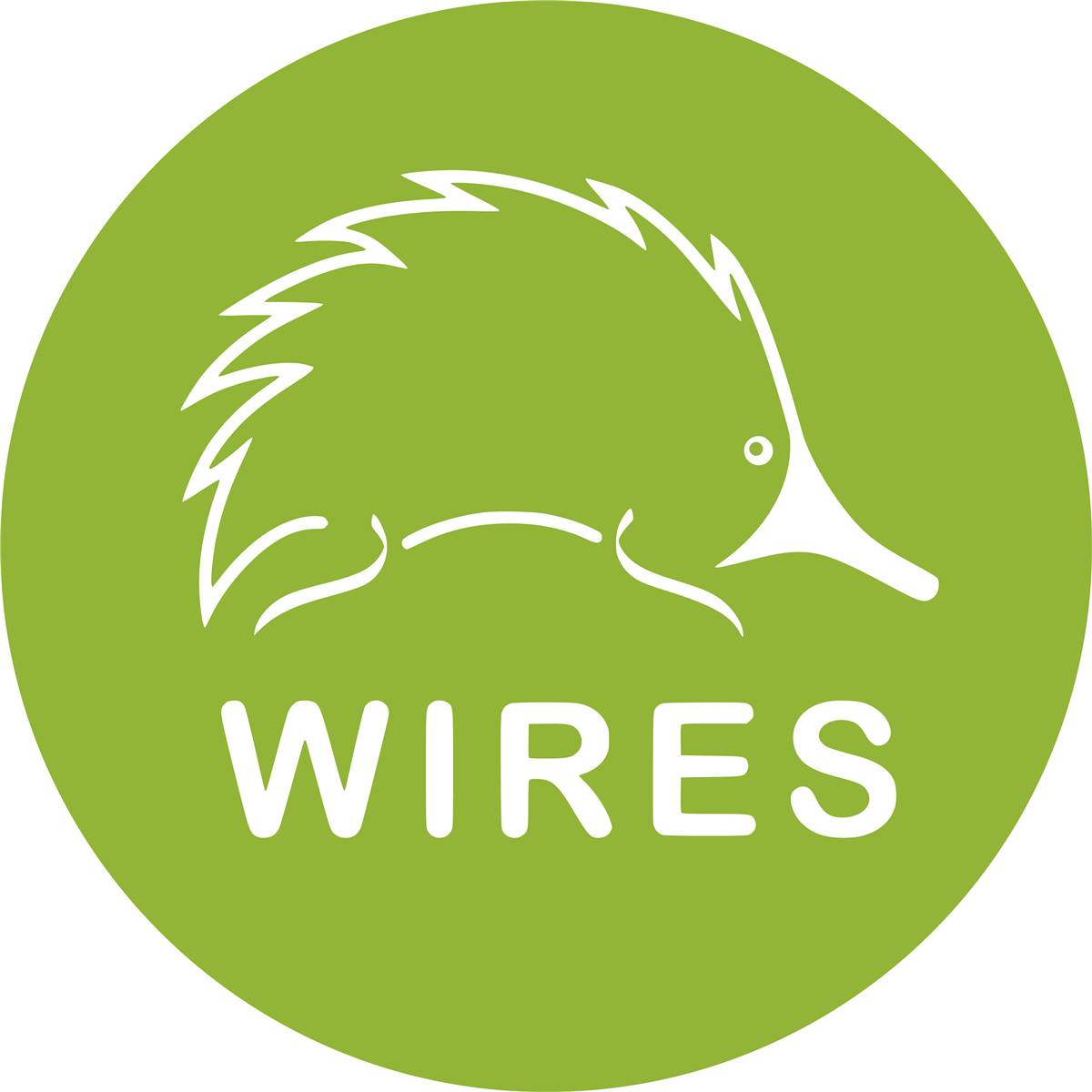 Wires Donation $20.00