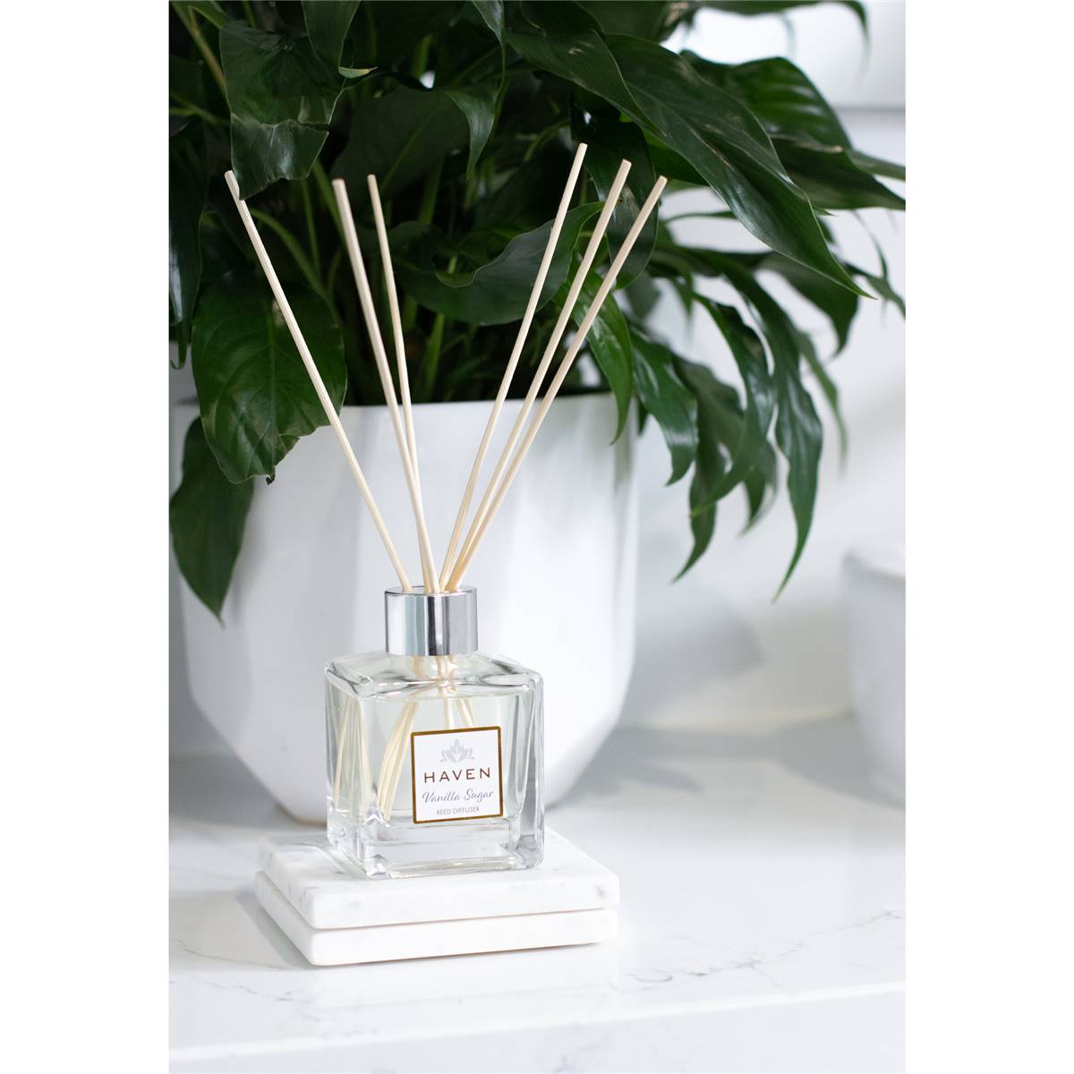 Haven Reed Diffuser Vanilla Sugar 120ml Woolworths