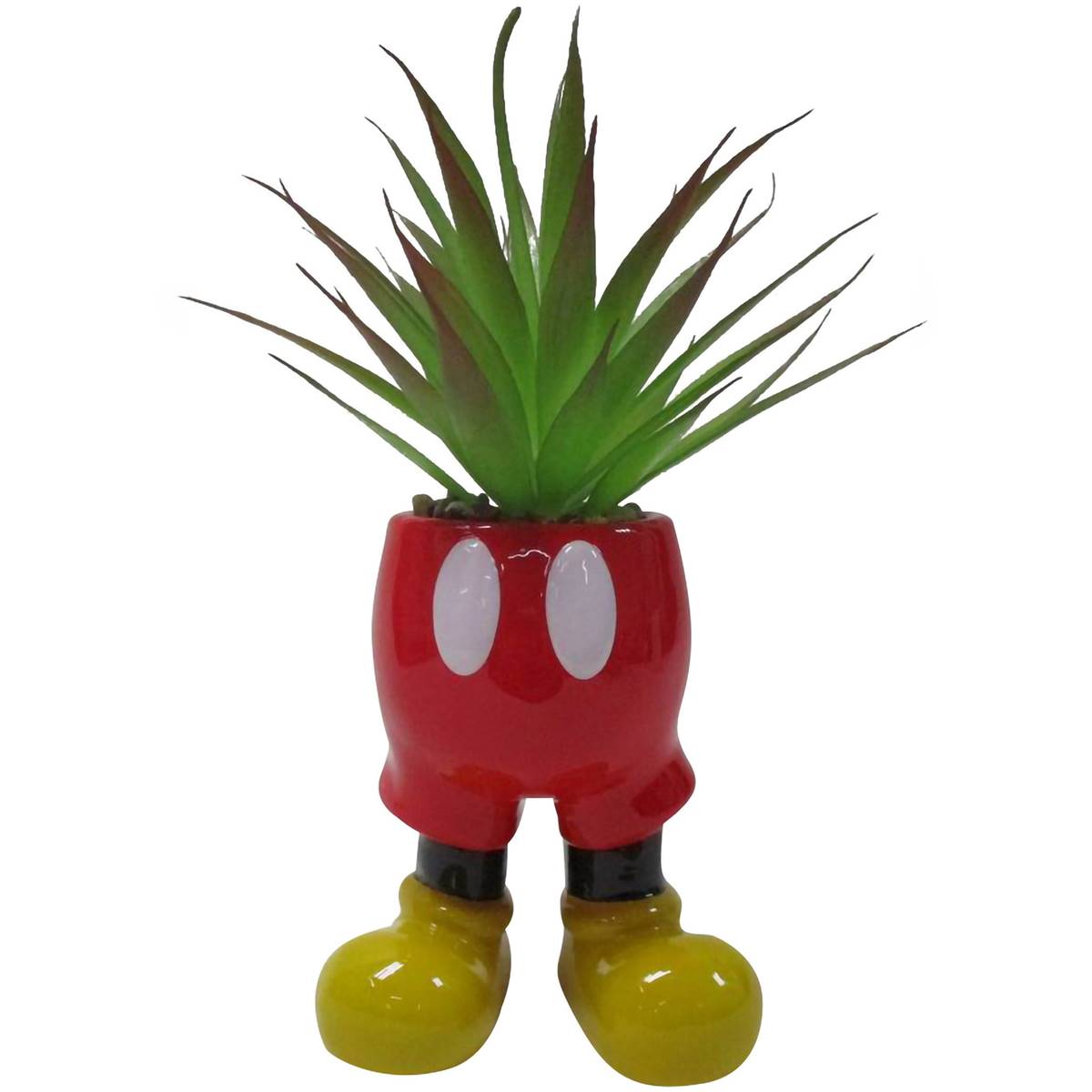 Disney Pot Plant Assorted Each Woolworths