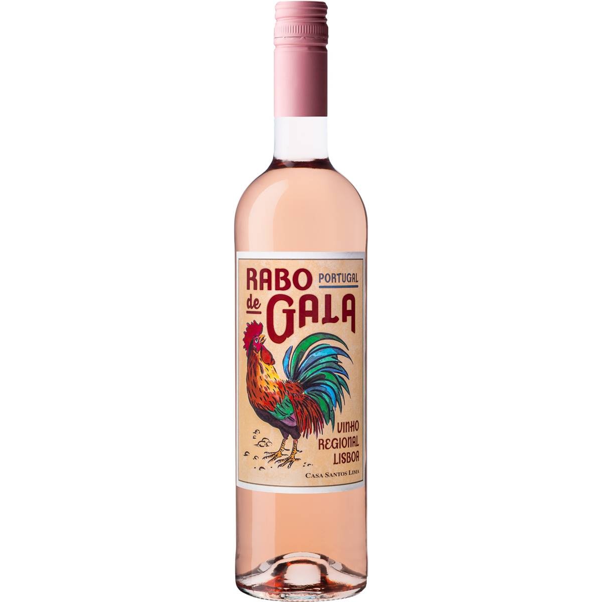 Rabo De Gala Rose