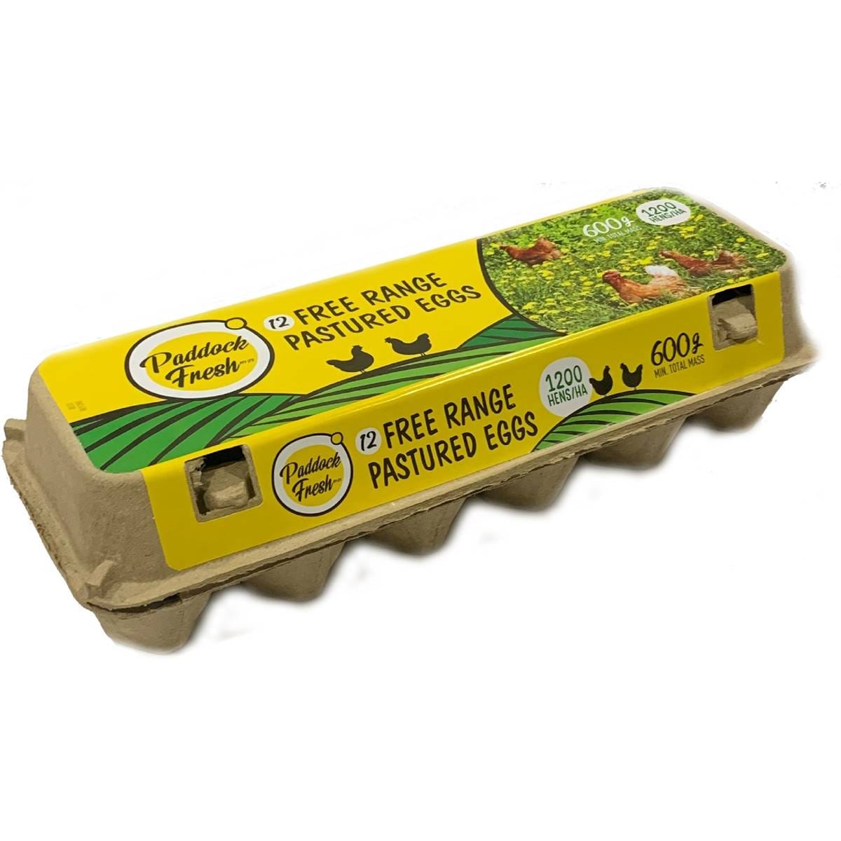 Paddock Fresh 12 Free Range Pastured Eggs 600g Woolworths