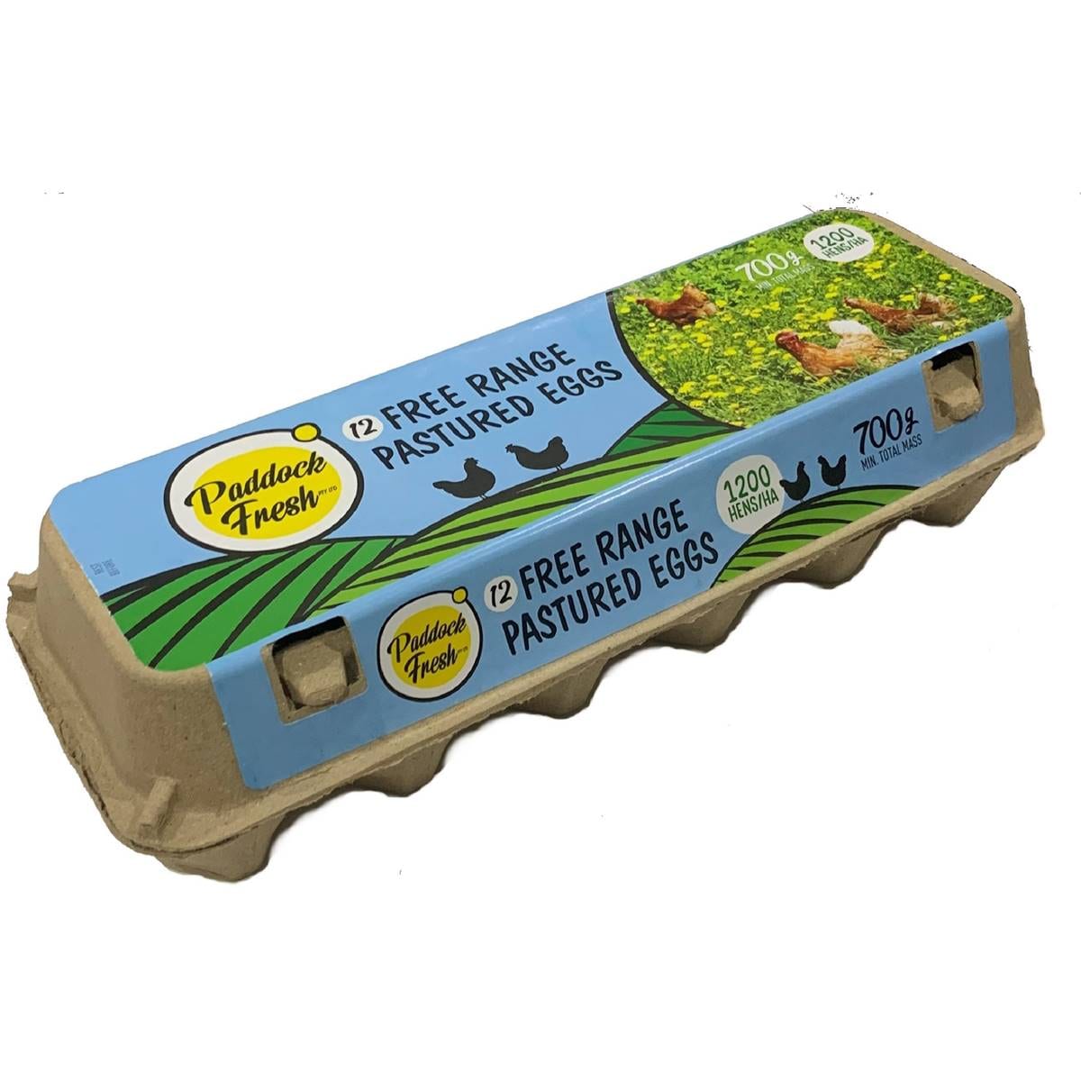 Paddock Fresh 12 Free Range Pastured Eggs 700g Woolworths