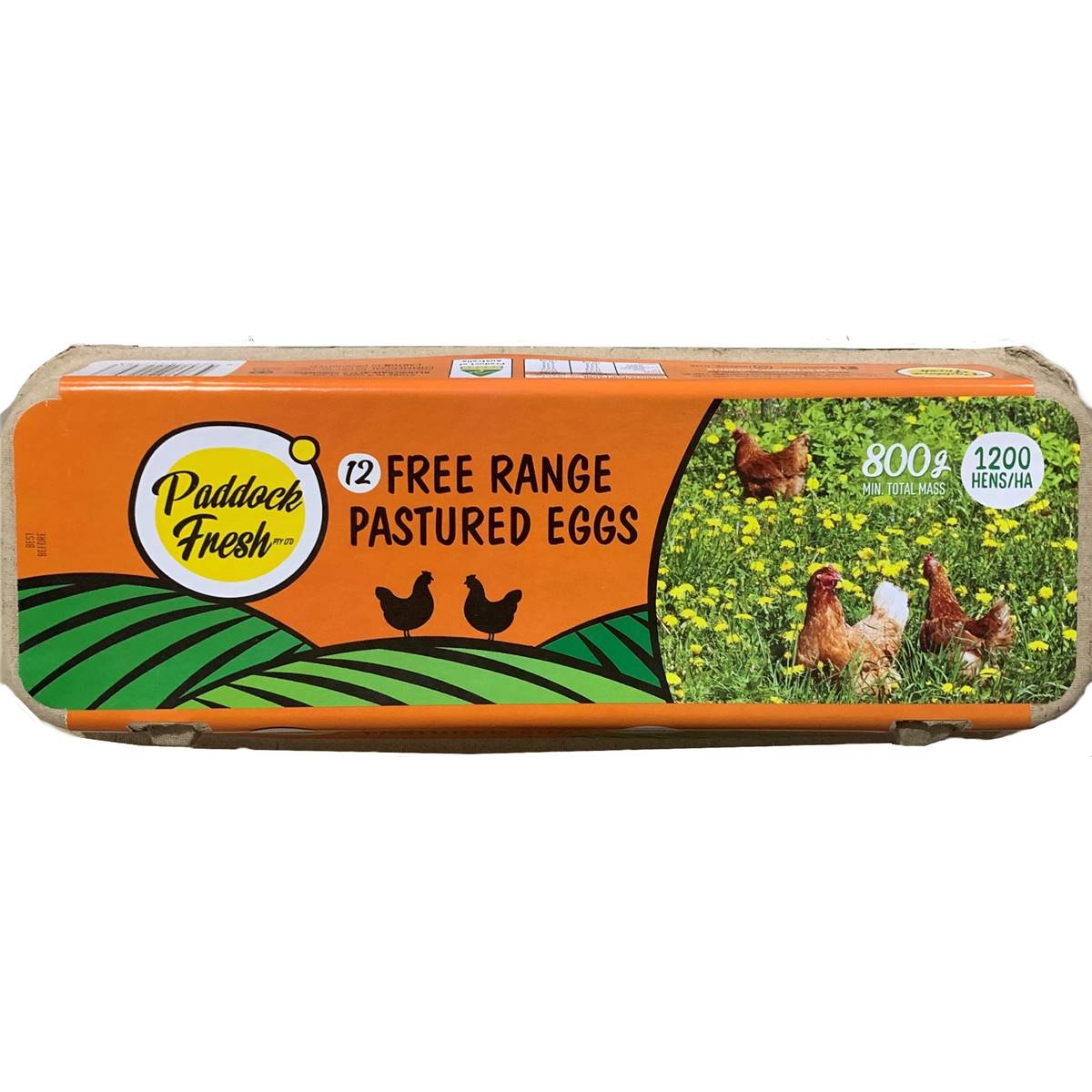 Paddock Fresh 12 Free Range Pastured Eggs 800g Woolworths