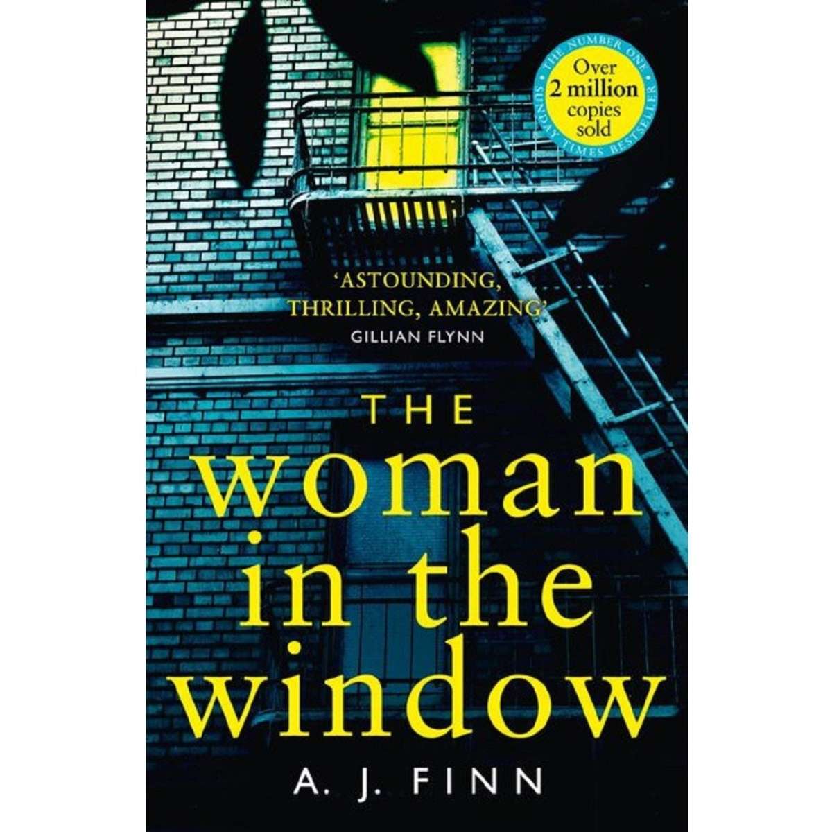 The Woman In The Window Book Woolworths