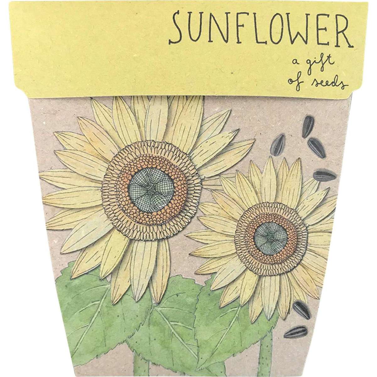Sow 'N Sow Gift Of Seeds Sunflower 1pack Woolworths
