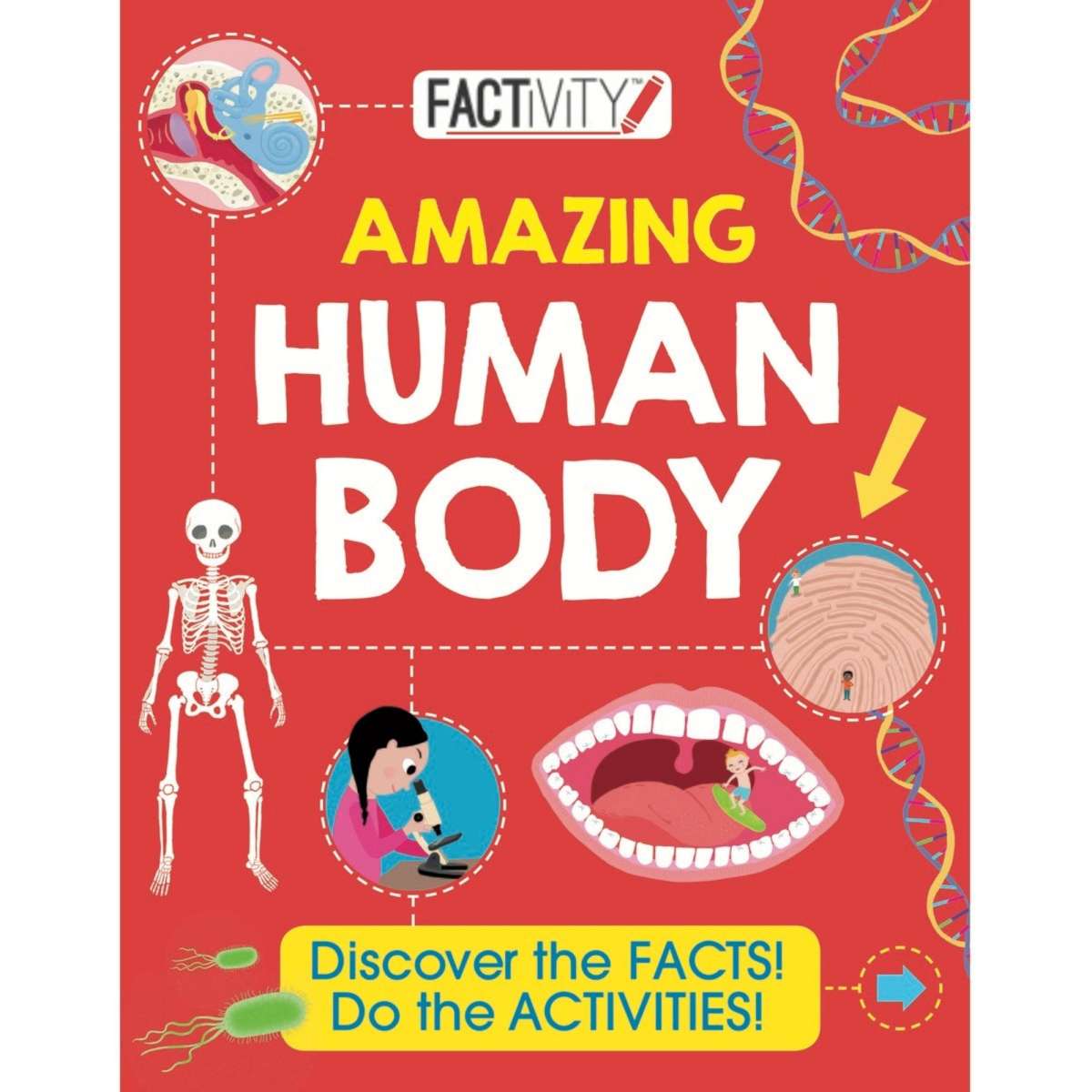 Factivity Journey Around and Inside Your Amazing Body Activity Book ...