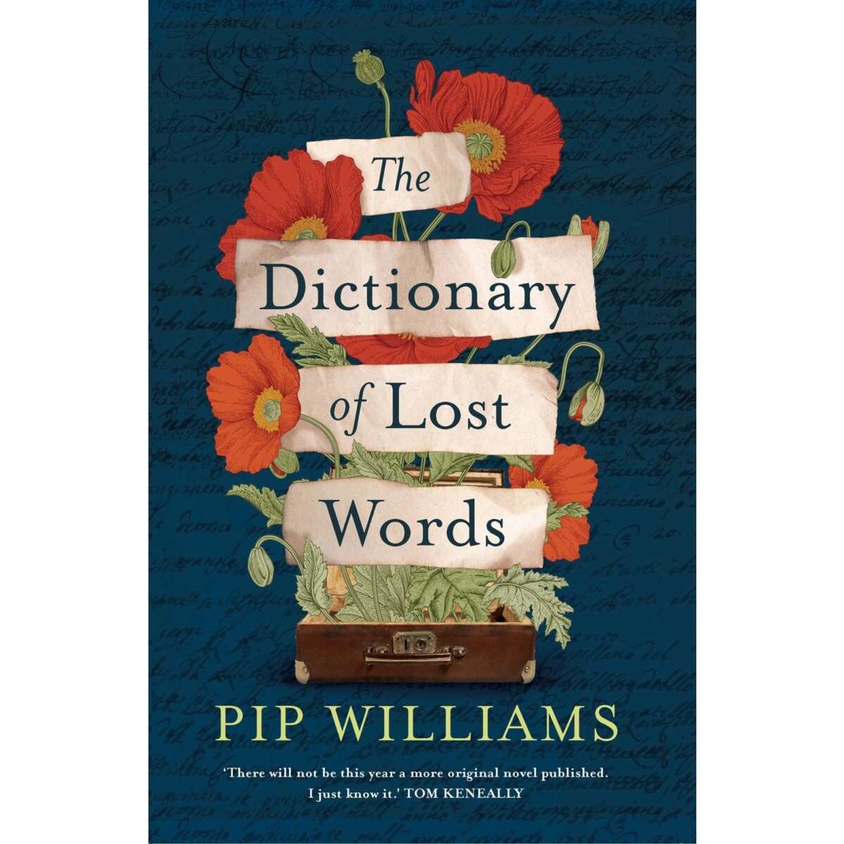 the-dictionary-of-lost-words-by-pip-williams-woolworths