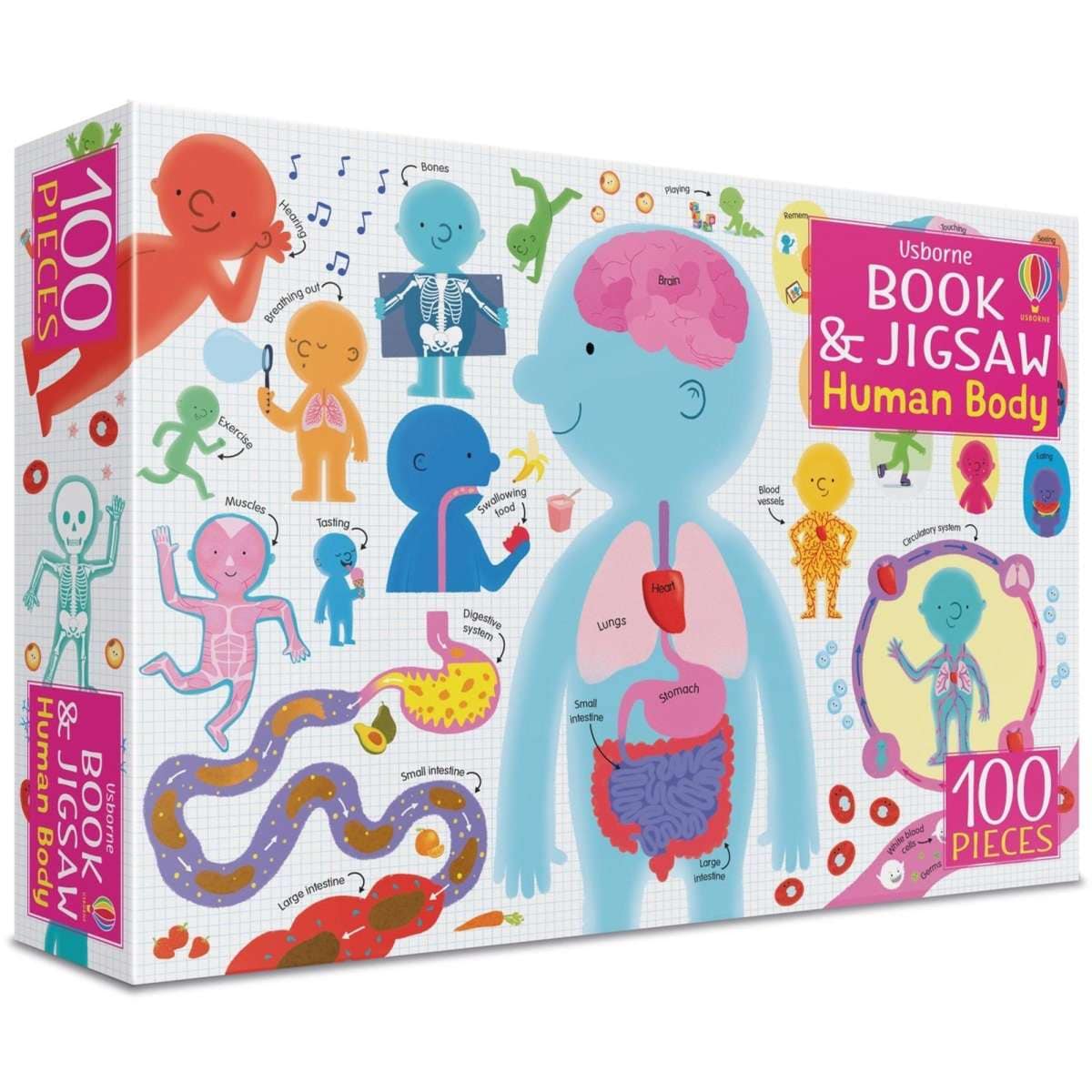 Usborne Book and Jigsaw Human Body Woolworths