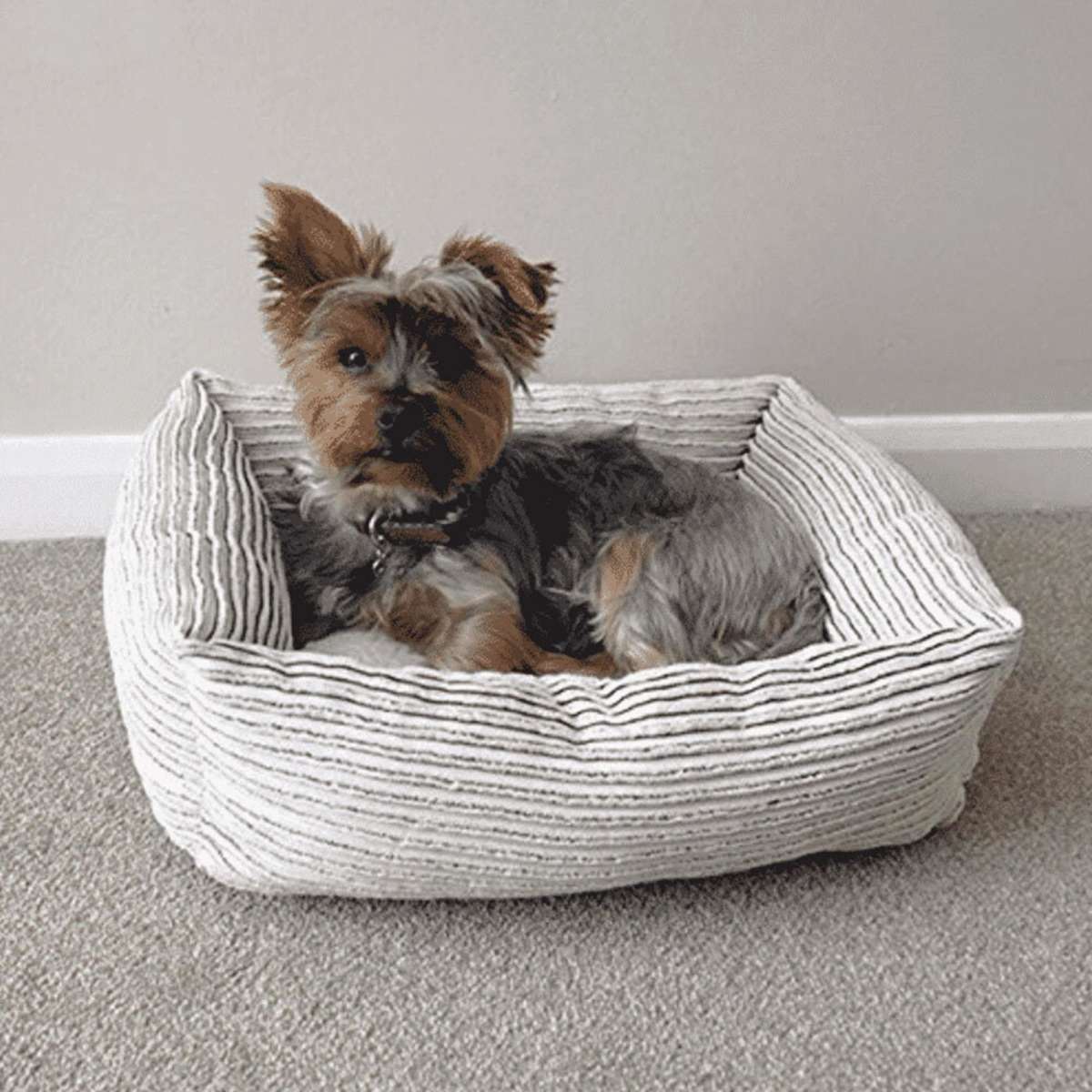 Rosewood 40 Winks Dog Sleeper Beige Jumbo Cord/Teddy Square Pet/Dog Bed