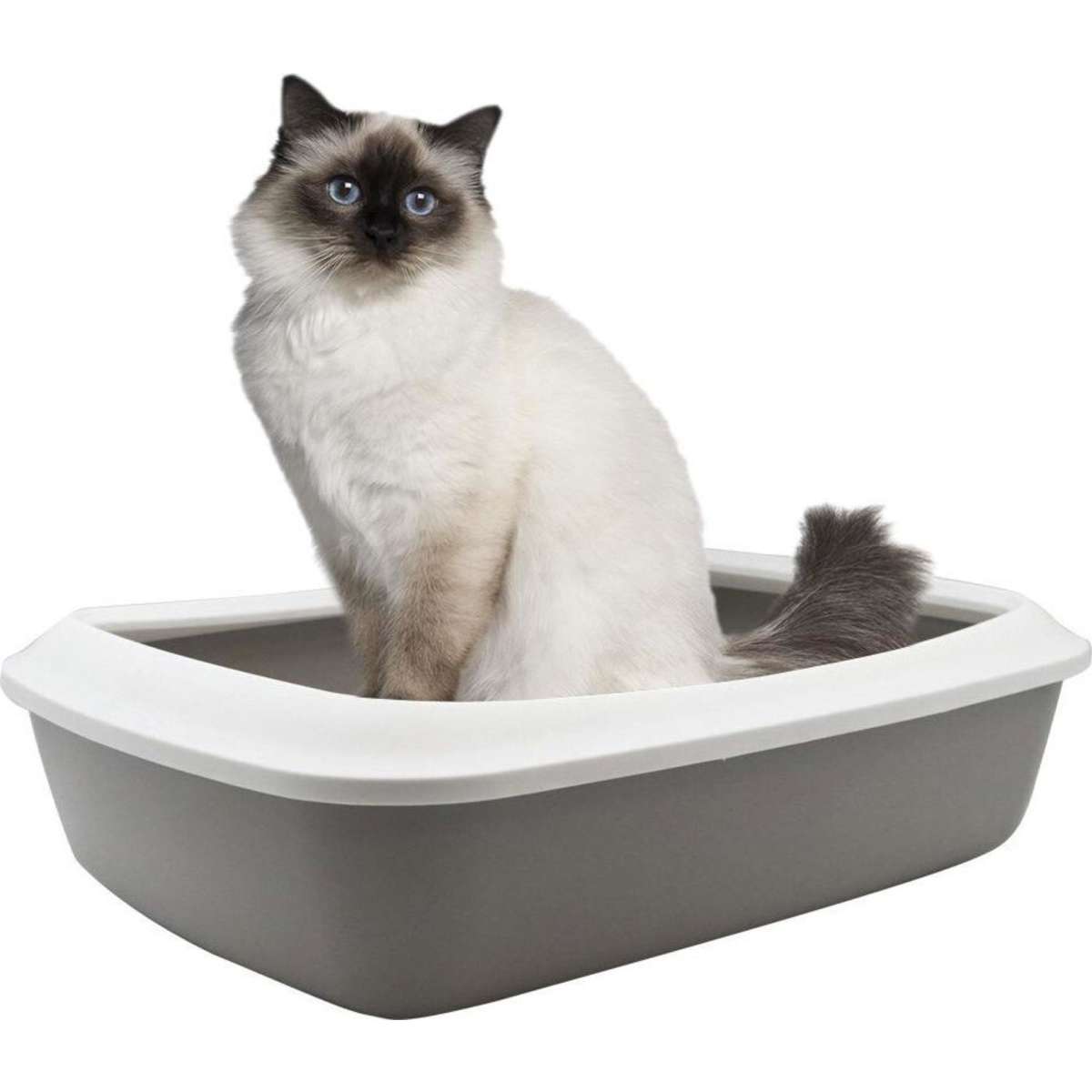 Paws & Claws Cat Litter Tray w/ Mess Guard | Woolworths