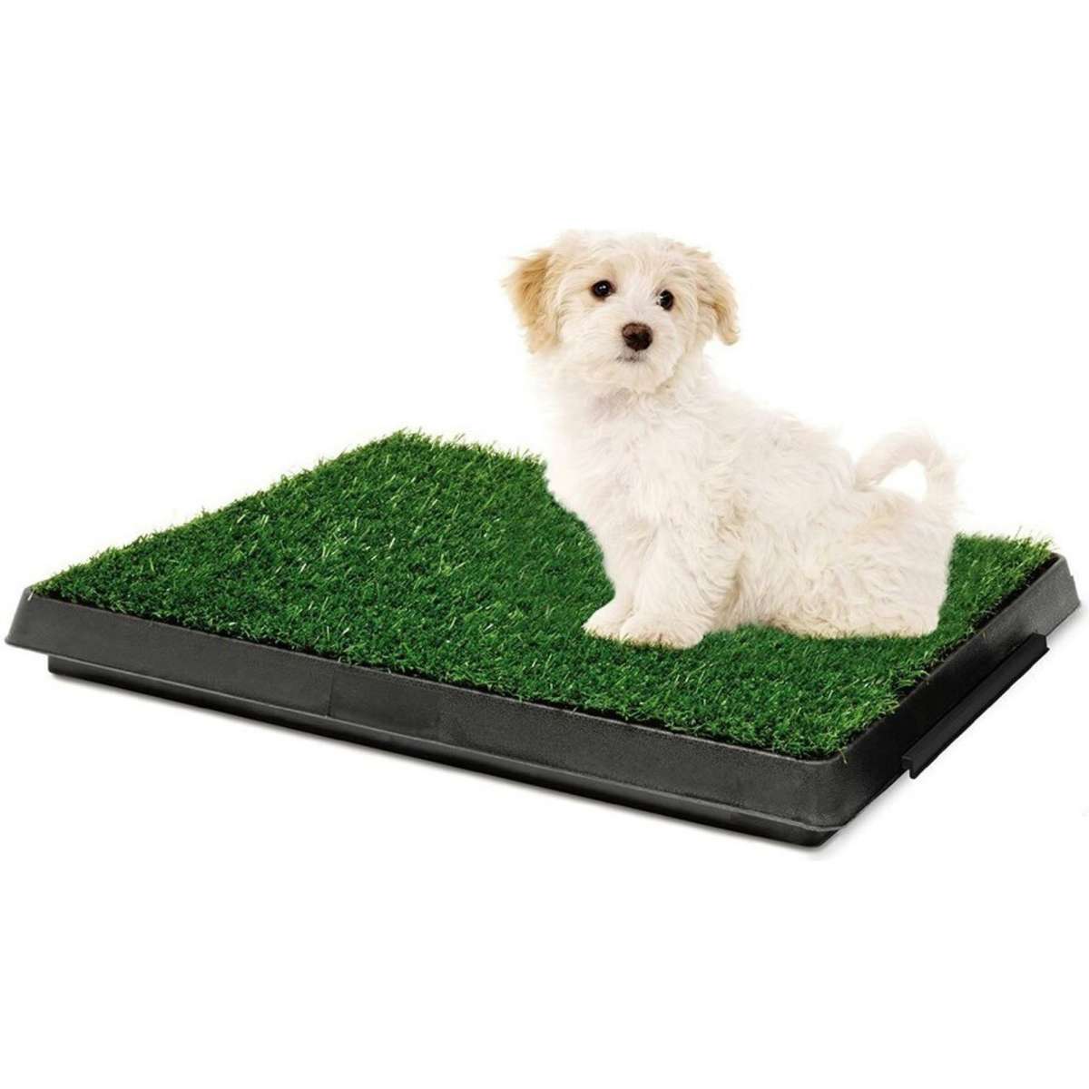 Paws & Claws Indoor Training Pet Potty Grass Woolworths