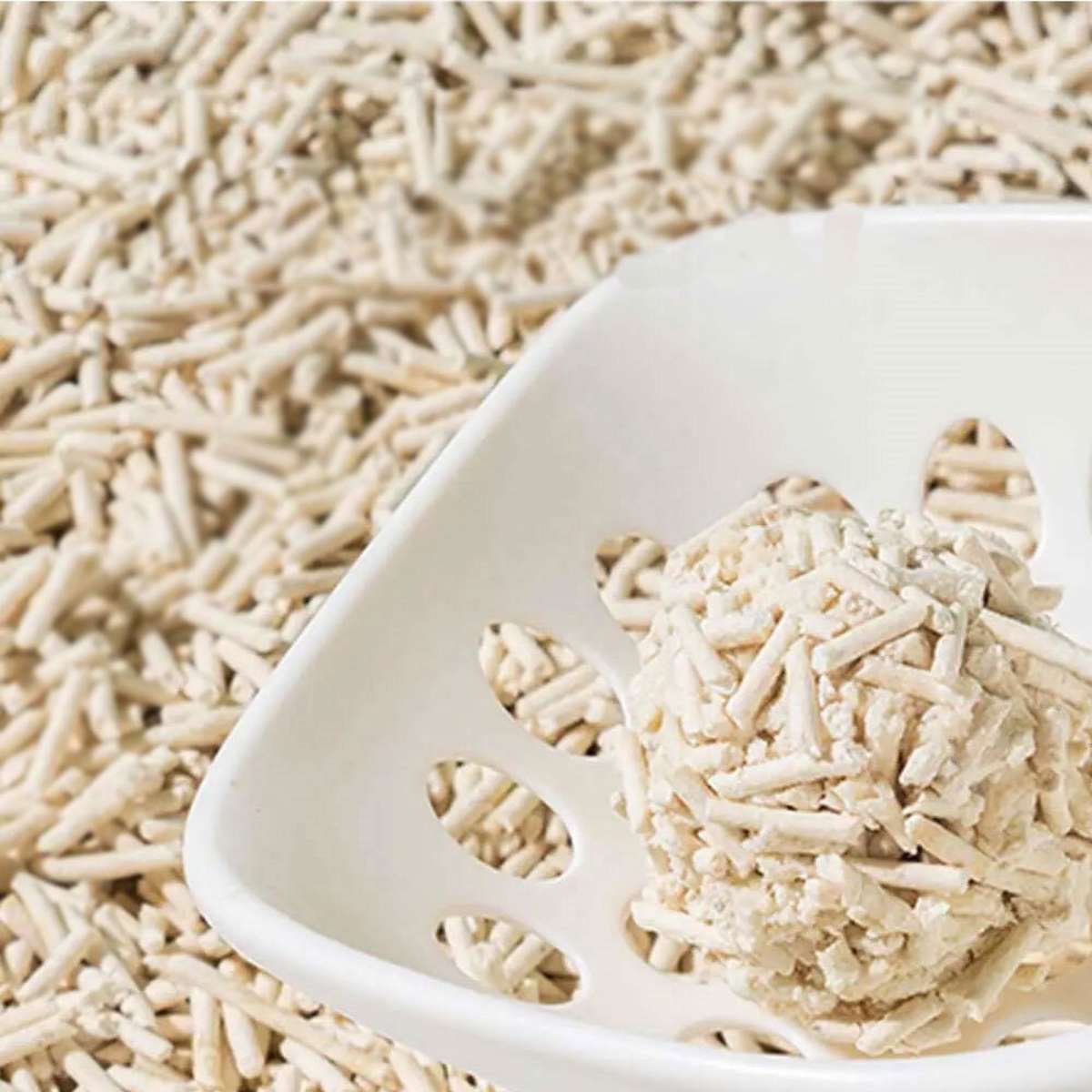 Touchcat Tofu Absorbent and Clumping Cat Litter 2.5kg Woolworths