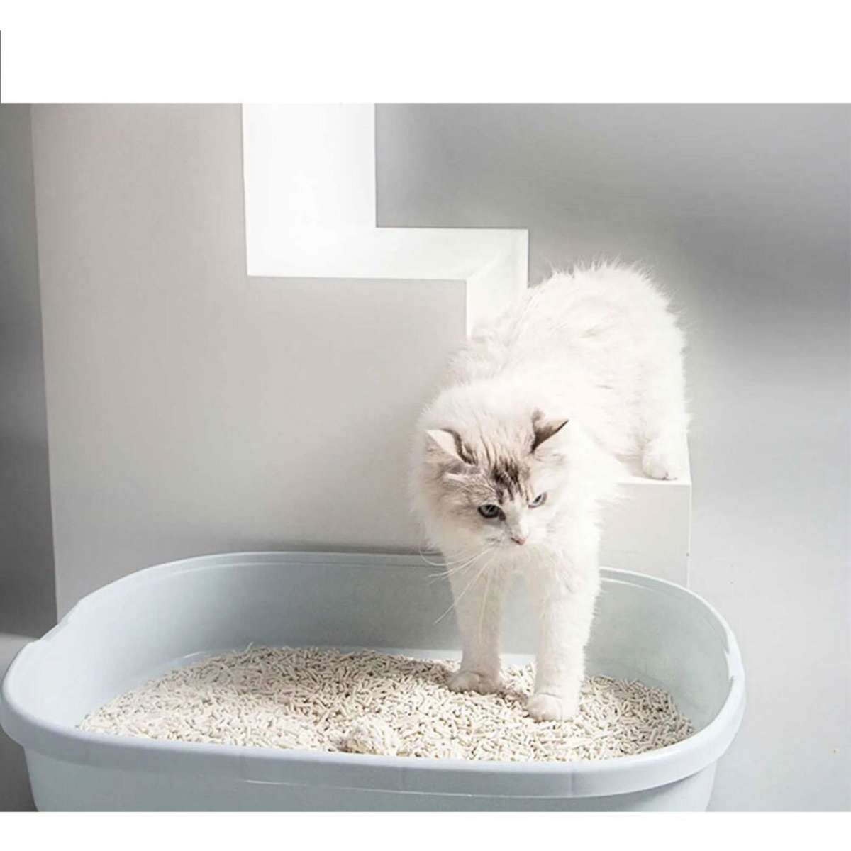 Touchcat Tofu Absorbent and Clumping Cat Litter 2.5kg Woolworths