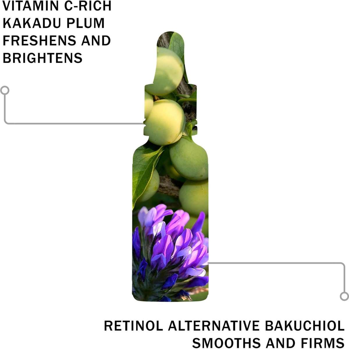 Antipodes Glow Ritual Vitamin C Serum With Hyaluronic Acid 30ml