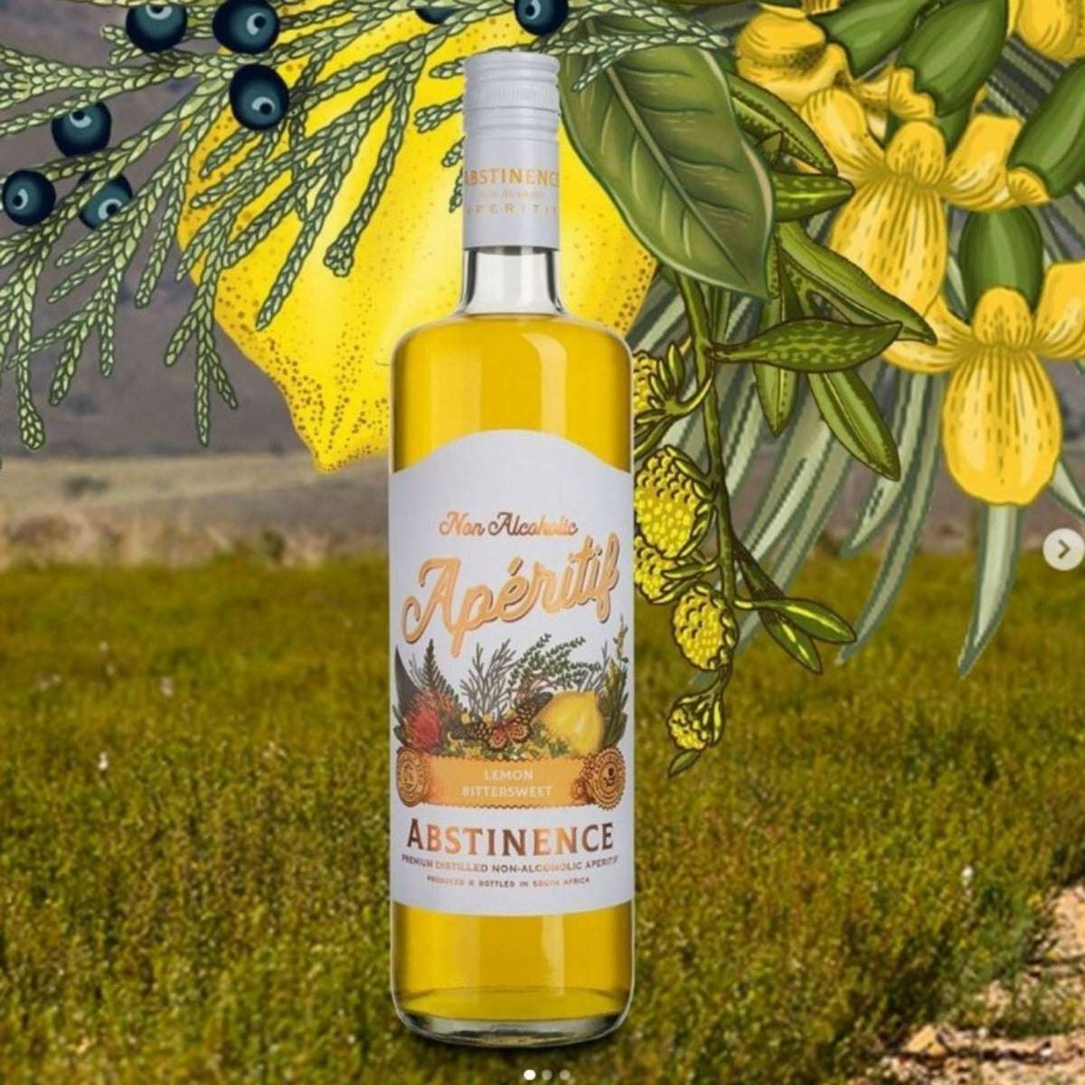 Gift Pack Duo Abstinence Blood Orange and Lemon 0 Aperitif 750ml