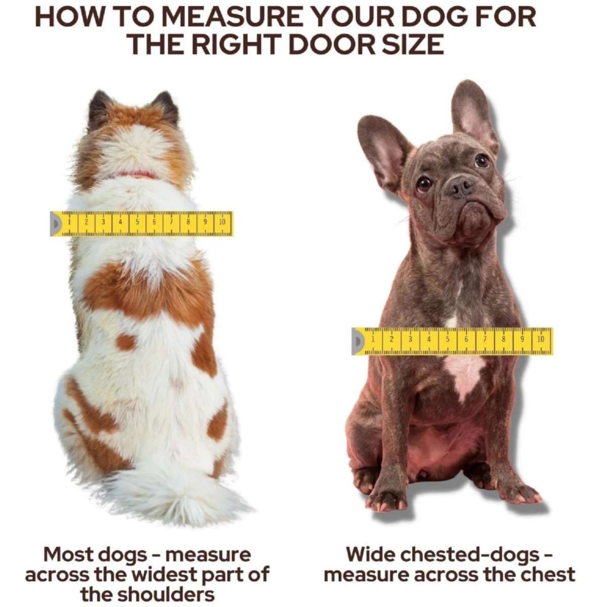 Transcat Dog Door (Clear) Woolworths